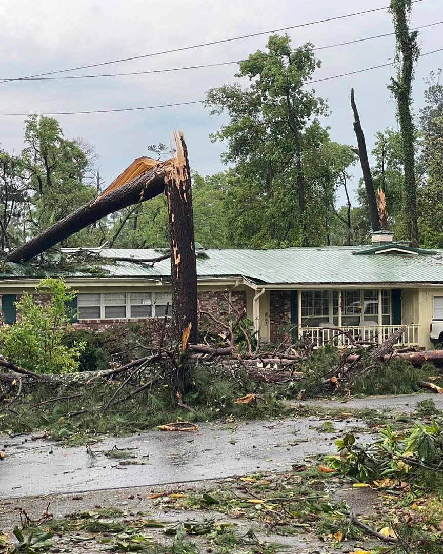 Ranch home with fallen pines across the metal roof after a storm.
